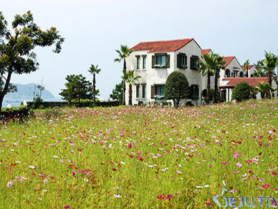 제주도 라임오렌지빌 펜션  + 렌트카  + 항공  에어카텔  패키지 할인예약