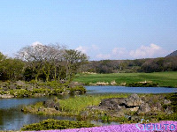 제주도골프장순위 1박2일투어 -4인요금 / 제주도 블랙스톤cc 골프장골프장  + 크라운골프장 cc 골프장 - A타입 추가쿠폰 (팀당4,000원)