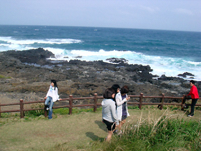 제주도 관광정보'