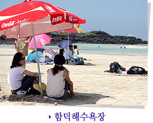 제주도 관광정보'