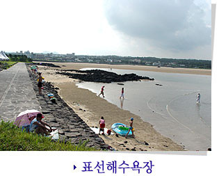 제주도 관광정보'