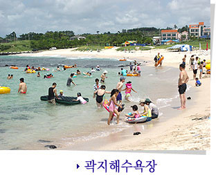 제주도 관광정보'