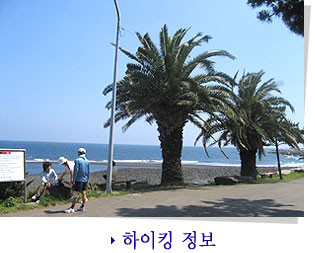 제주도 관광정보'