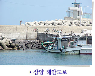 제주도 관광정보'