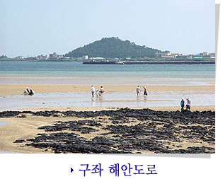 제주도 관광정보'