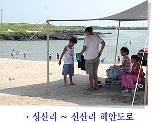 제주도 관광정보'