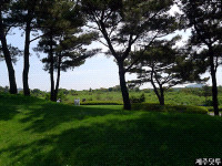 제주도골프할인 4명기준 !! / 제주골프부킹 골프부킹 - 라온 제주 골프텔+라온 제주도 골프장+말리부,제주예약전문