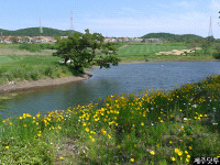 제주도골프 할인 - 4인요금 제주 아덴힐 cc + 그랜져 IG  (렌트카) , 추천 제주골프장  , 제주도현지