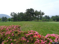 한라산cc 