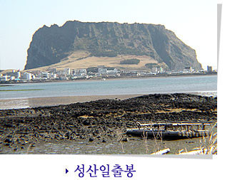 제주도 관광정보'