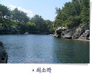 제주도 관광정보'